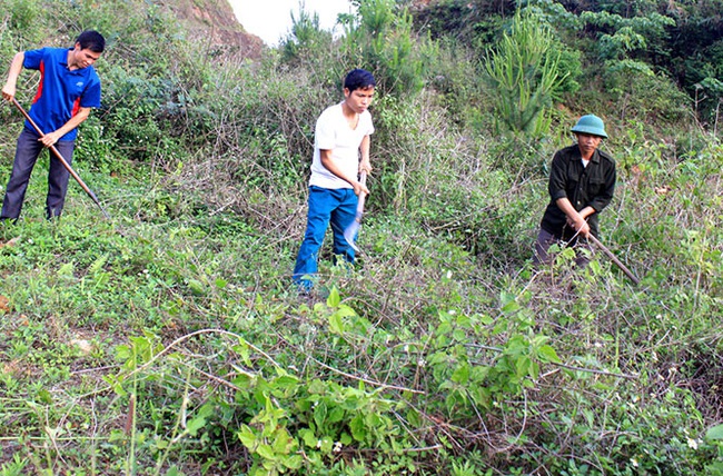 Tân Uyên: Hiệu quả từ chính sách cho trả dịch vụ môi trường rừng - Ảnh 4.