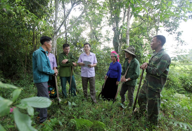 Tân Uyên: Hiệu quả từ chính sách cho trả dịch vụ môi trường rừng - Ảnh 1.