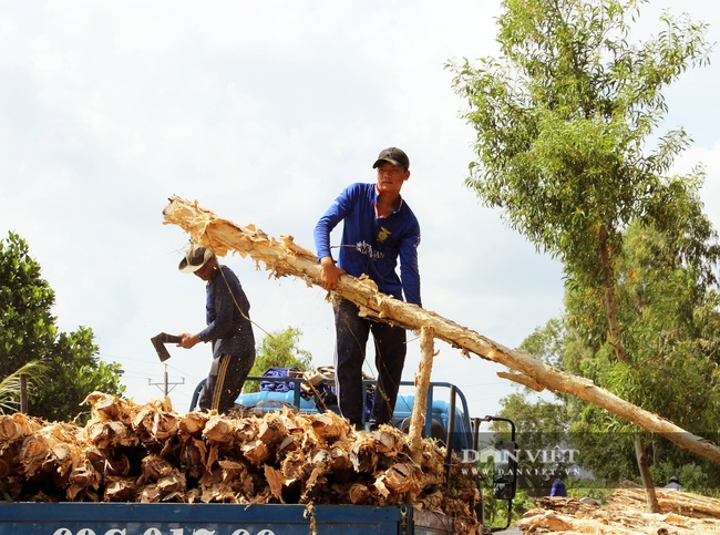 Lạ đời chợ chỉ bán duy nhất một mặt hàng ở xứ U Minh Hạ - Ảnh 7.