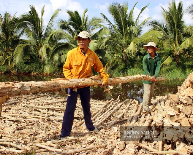 Lạ đời chợ chỉ bán duy nhất một mặt hàng ở xứ U Minh Hạ - Ảnh 3.