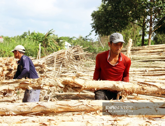 Lạ đời chợ chỉ bán duy nhất một mặt hàng ở xứ U Minh Hạ - Ảnh 5.