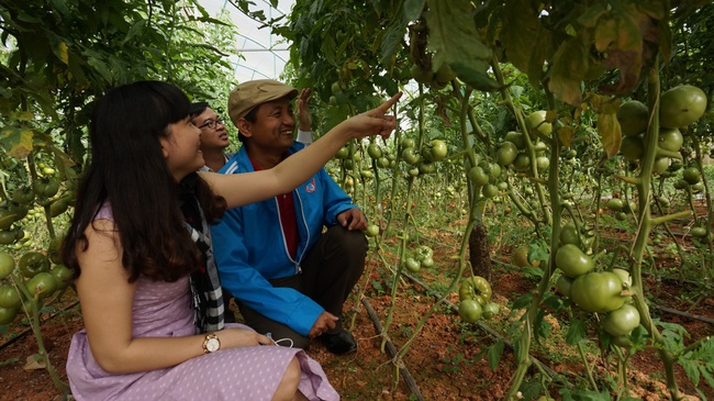 Nông nghiệp Thủ đô tăng trưởng 1,61% - Ảnh 1.