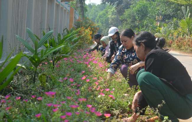 Nông dân chung sức, làng quê sạch - đẹp - Ảnh 3.