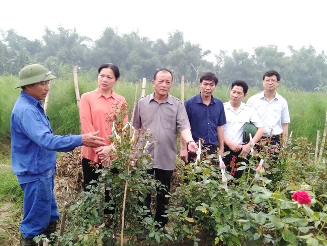 Em nhờ chuyển cho chị Minh Huệ - Tam Nông:  Giảm nghèo đa chiều ở Lào Cai đạt nhiều tín hiệu khả quan - Ảnh 1.