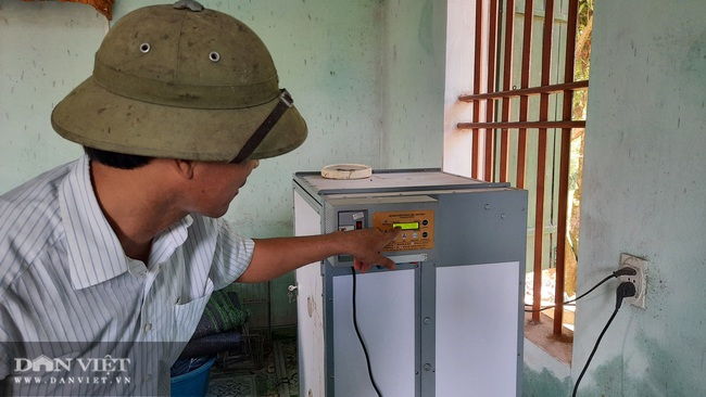 Quảng Ninh: Làm giàu từ nuôi con lông óng mượt, kêu gù gù, cho thịt ngon, ngọt vạn người mê. - Ảnh 4.