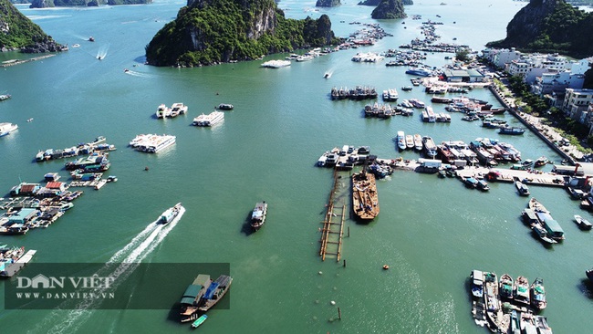 Nạo vét khu neo đậu tránh trú bão Vân Đồn: Bùn thải tràn ra vịnh Bái Tử Long - Ảnh 11.