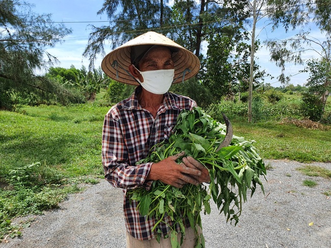 Từ trong &quot;tâm dịch&quot; Covid-19 Đà Nẵng: Người dân sửa sang nhà cửa, trồng rau, nuôi gà... - Ảnh 2.