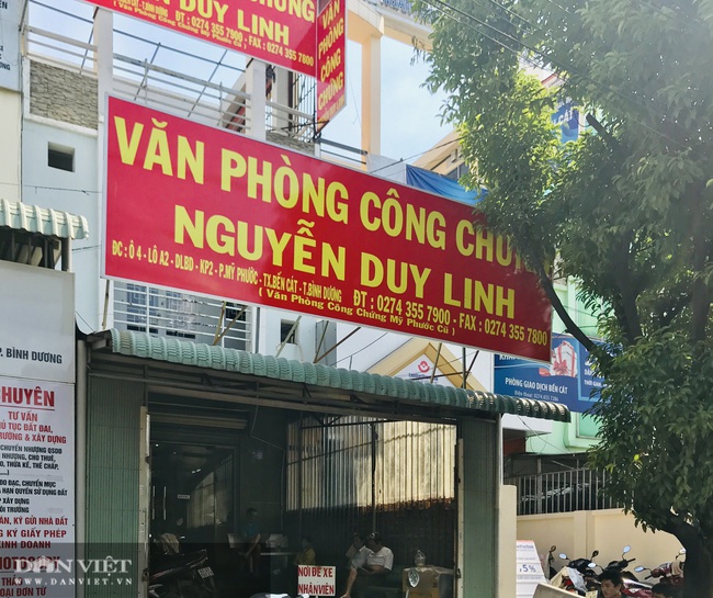 Mất đất vì hợp đồng giả cách: Văn phòng công chứng bị tố làm sai quy định - Ảnh 1.