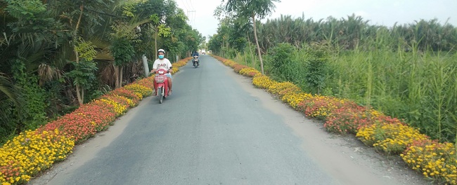 Ngỡ ngàng đường hoa đẹp nhất Sài thành khiến cư dân mạng xốn xang - Ảnh 1.