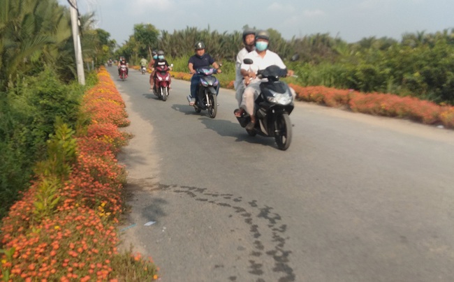 Ngỡ ngàng đường hoa đẹp nhất Sài thành khiến cư dân mạng xốn xang - Ảnh 3.