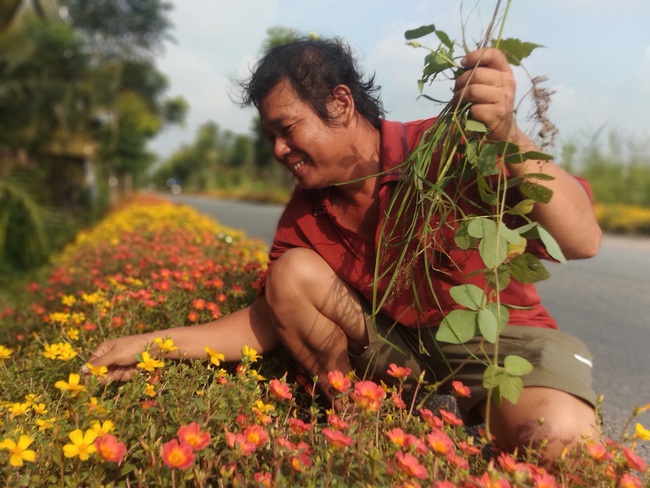 Ngỡ ngàng đường hoa đẹp nhất Sài thành khiến cư dân mạng xốn xang - Ảnh 6.