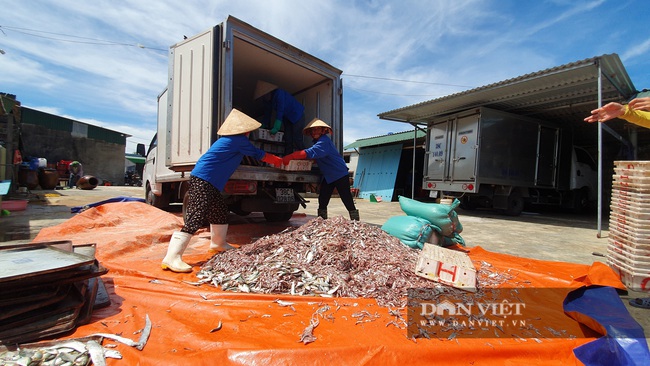 Hà Tĩnh: Từ một tiểu thương nhỏ đến bà chủ thương hiệu nước mắm có tiếng - Ảnh 2.