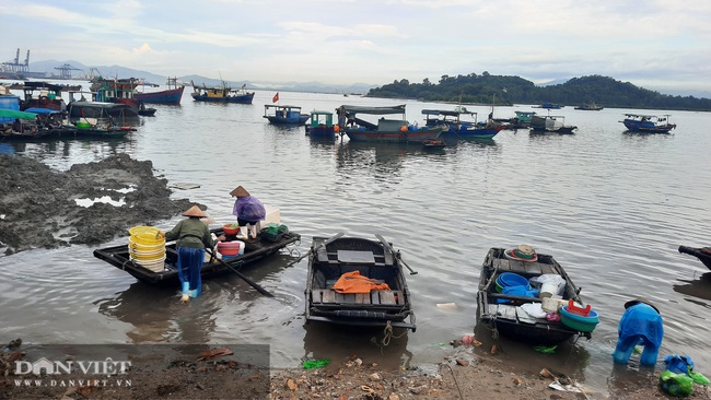 Quảng Ninh: Chuyển khu vực cảng cá Hòn Gai sang địa chỉ mới, người dân và tiểu thương nói gì? - Ảnh 8.