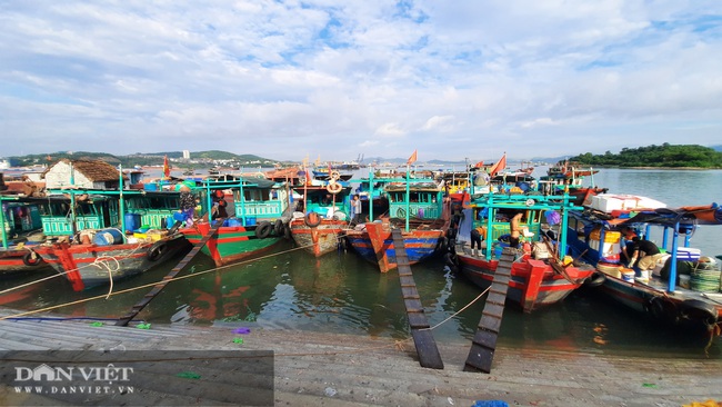Quảng Ninh: Chuyển khu vực cảng cá Hòn Gai sang địa chỉ mới, người dân và tiểu thương nói gì? - Ảnh 1.