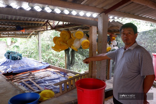 Nuôi cá bỗng, trồng đủ thứ cây ăn quả, lão nông ở Hà Giang biến đất hoang, đầy cỏ dại nay đã &quot;nhả vàng&quot; - Ảnh 7.