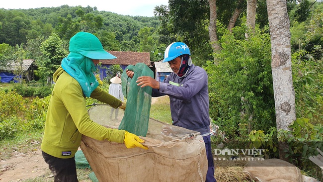 Chạy xe máy khắp đồng săn 'máy bay mặt đất' thu tiền triệu mỗi ngày - Ảnh 3.