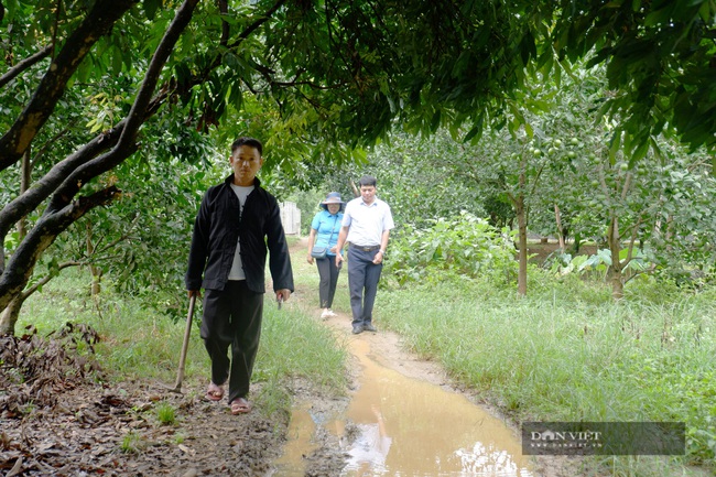 Hà Giang: Trồng cam đặc sản, thu tiền tỷ, một nông dân người Mông xây nhà đẹp, sắm xe hơi - Ảnh 2.