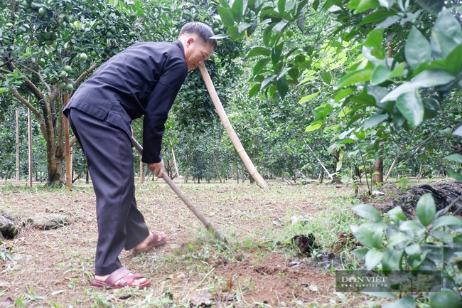 Hà Giang: Thu tiền tỷ từ trồng cam, nuôi cá đặc sản, một nông dân người Mông xây nhà đẹp, sắm xe hơi - Ảnh 5.