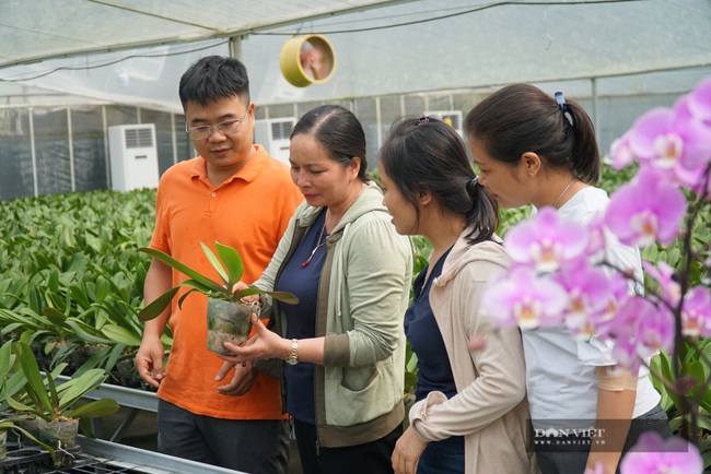 Làng xóm khang trang, sạch đẹp, đẩy mạnh nông nghiệp công nghệ cao, Thanh Oai quyết đạt huyện NTM năm 2020 - Ảnh 2.