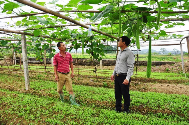 Mạnh dạn làm ăn khi có đòn bẩy” vốn ưu đãi - Ảnh 1.