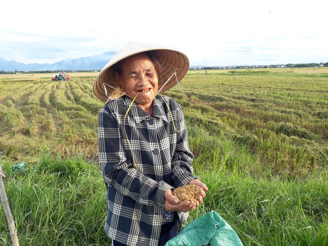 Gạo Việt và bước tiến dài ra thế giới - Ảnh 3.