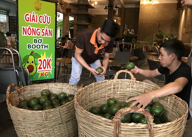 Bơ booth xuống đường Sài Gòn, giá &quot;giải cứu&quot; chỉ 20.000 đồng/kg - Ảnh 2.