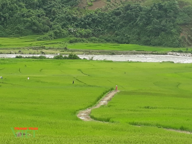 Lai Châu: Huyện biên giới Mường Tè “thay áo mới” - Ảnh 1.