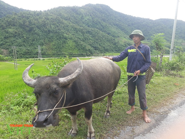 Lai Châu: Huyện biên giới Mường Tè “thay áo mới” - Ảnh 3.