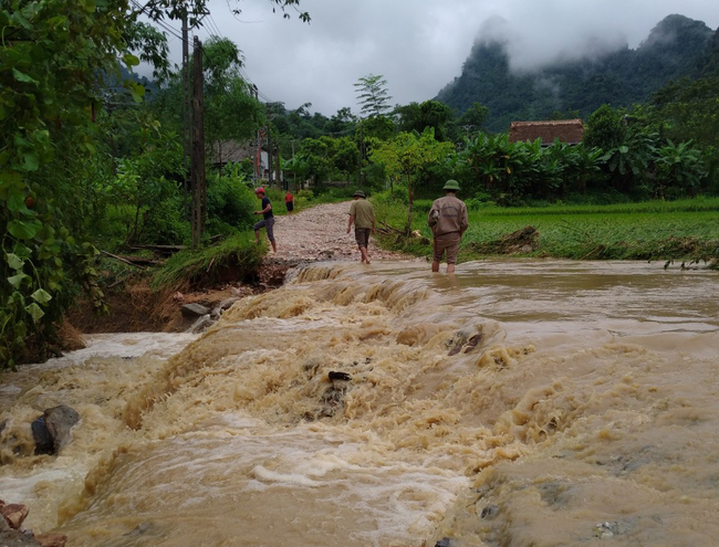 Mưa lũ ở Yên Bái: Sạt lở taluy, nhiều công trình, hoa màu bị tàn phá - Ảnh 1.