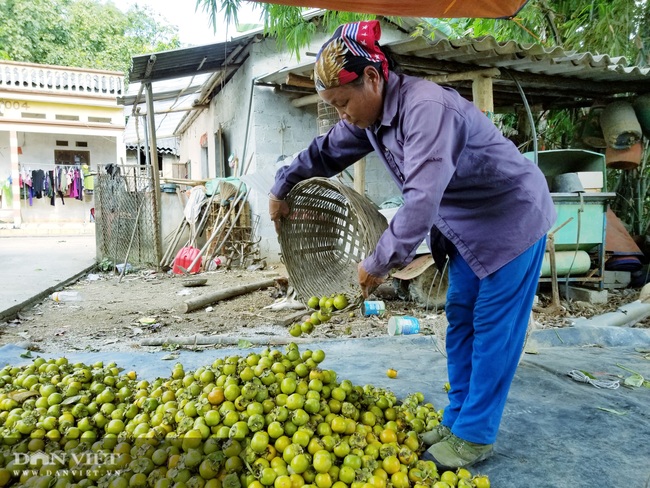 Ảnh: Ngọt ngào, vàng óng mùa hồng giòn xứ Lạng - Ảnh 11.