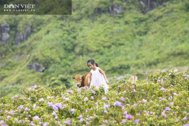 Cao Ly, Bình Liêu - Điểm đến hấp dẫn mùa thu đông - Ảnh 3.