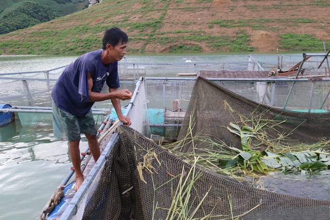 Nhân rộng mô hình giảm nghèo hiệu quả: Nhìn từ các mô hình phát triển sản xuất  - Ảnh 2.