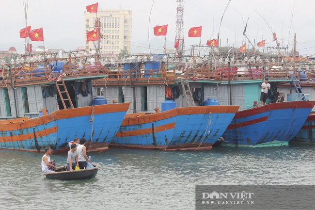 Quảng Bình: Ngư dân hối hả đưa tàu, thuyền vào tránh bão số 5 - Ảnh 1.