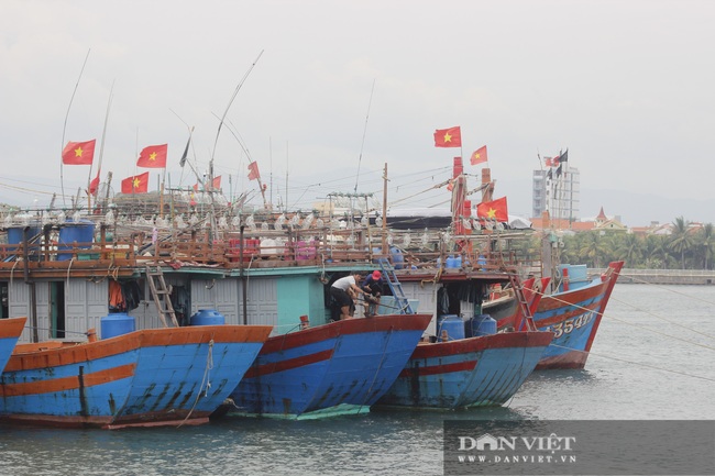 Quảng Bình: Ngư dân hối hả đưa tàu, thuyền vào tránh bão số 5 - Ảnh 4.