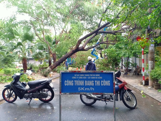 Đà Nẵng: Đường ngập, cây gãy cành đè nhà người dân do ảnh hưởng bão số 5 - Ảnh 8.