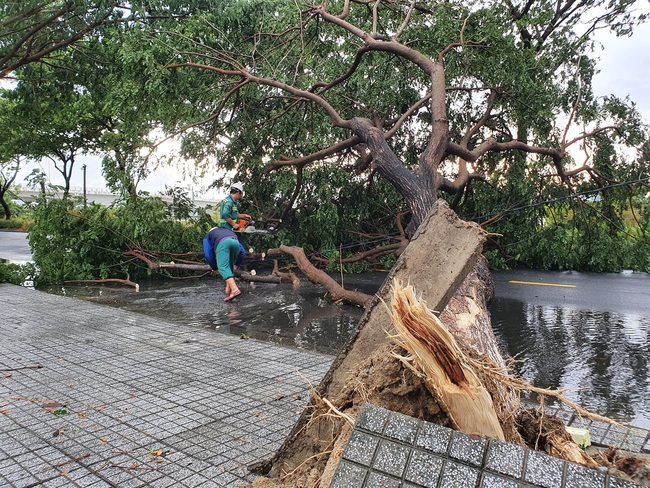Đà Nẵng: Đường ngập, cây gãy cành đè nhà người dân do ảnh hưởng bão số 5 - Ảnh 6.