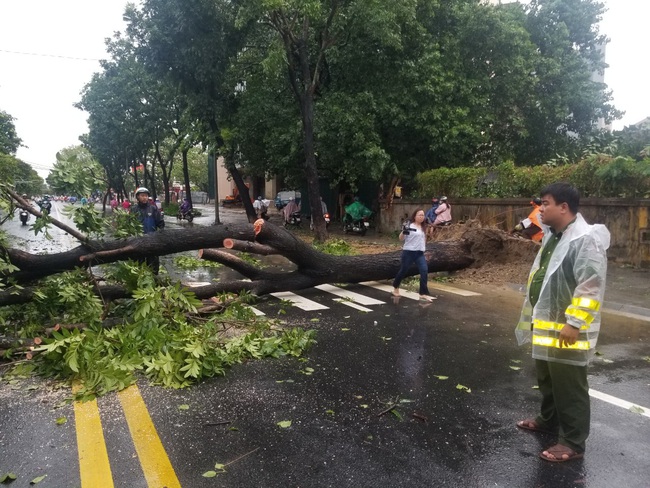 Chùm ảnh: Nhà dân tốc mái và cây xanh, trụ điện gãy đổ hàng loạt ở Huế  - Ảnh 9.