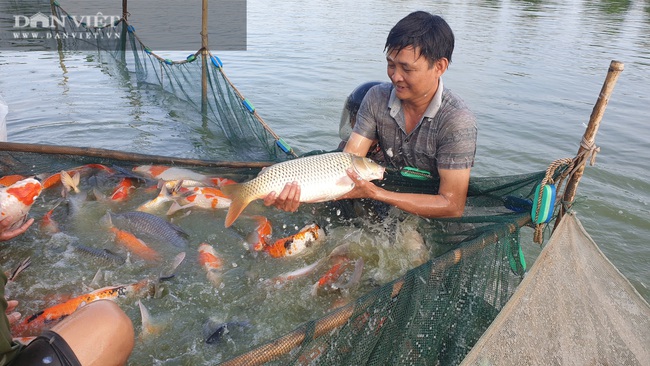 Nam Định: Nuôi đủ các loại cá, “ẵm” hơn nửa tỷ đồng chỉ sau 300 ngày - Ảnh 3.