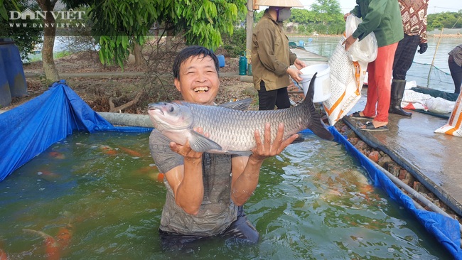 Nam Định: Nuôi đủ các loại cá, “ẵm” hơn nửa tỷ đồng chỉ sau 300 ngày - Ảnh 2.