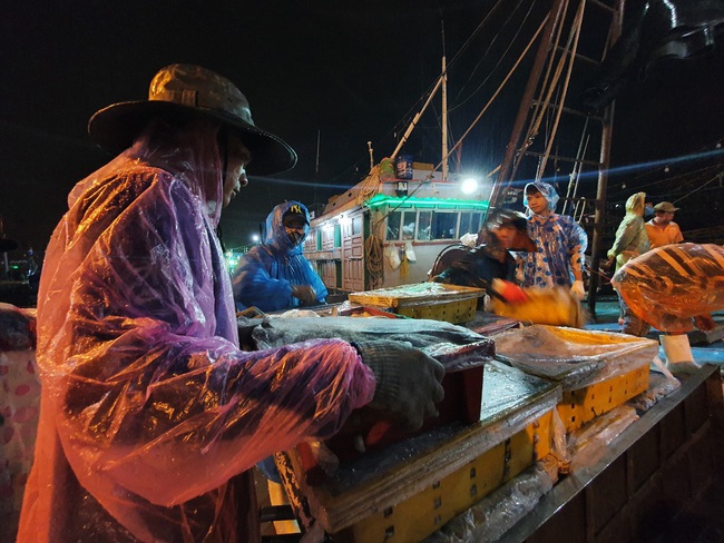 Đà Nẵng: Ngư dân xuyên đêm bốc cá &quot;chạy bão&quot; - Ảnh 3.