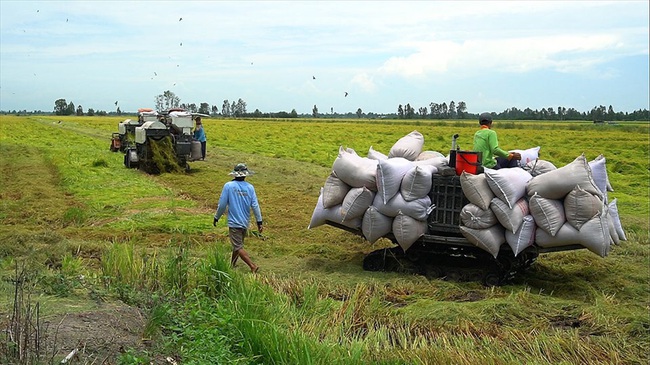 Ngắm dàn “siêu xe” mang về tiền tỉ của lão nông Kiên Giang - Ảnh 8.