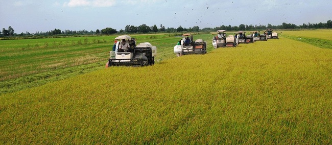 Ngắm dàn “siêu xe” mang về tiền tỉ của lão nông Kiên Giang - Ảnh 7.