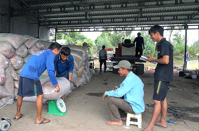 Ngắm dàn “siêu xe” mang về tiền tỉ của lão nông Kiên Giang - Ảnh 12.