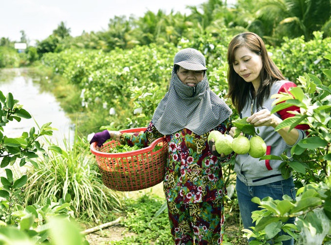 Kiên Giang có 55.000 hộ nông dân sản xuất kinh doanh giỏi mỗi năm - Ảnh 3.