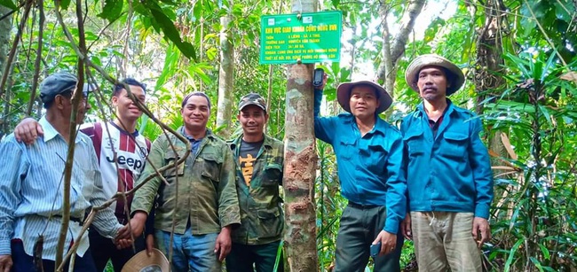 Bảo vệ và phát triển rừng ở Quảng Nam: Tăng giám sát chi trả dịch vụ môi trường rừng - Ảnh 1.
