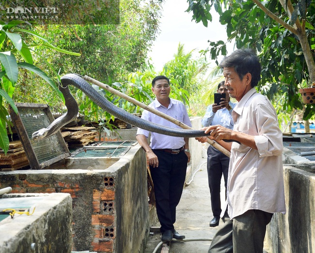 Kiên Giang có 55.000 hộ nông dân sản xuất kinh doanh giỏi mỗi năm - Ảnh 2.