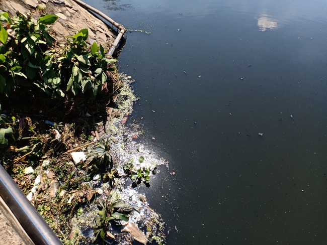 Đà Nẵng: Chi tiền tỷ để cải thiện, Hồ Bàu Trảng vẫn tiếp tục tái ô nhiễm  - Ảnh 2.