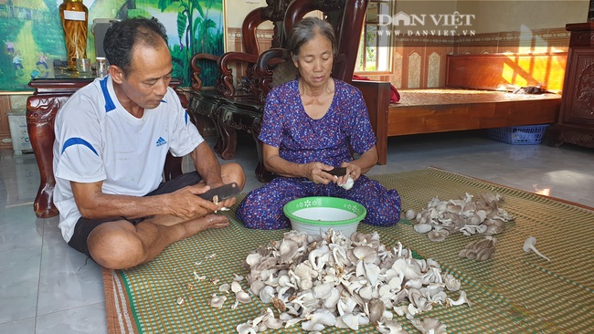 Ninh Bình: U60 chịu khó trồng nấm, tháng nào u60 cũng hái ra 50 triệu. - Ảnh 5.