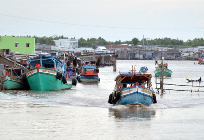 Cà Mau: Chủ tàu cá khai thác thủy sản trái phép bị đề nghị phạt 1,3 tỷ đồng - Ảnh 1.