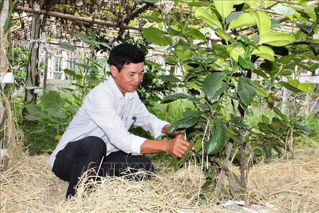 Bình Yên mỗi ngày thêm giàu - đẹp - Ảnh 1.